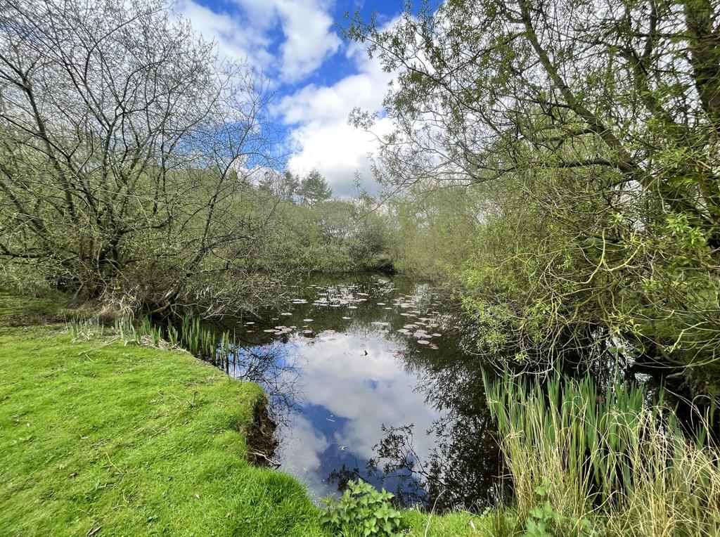 Pond2