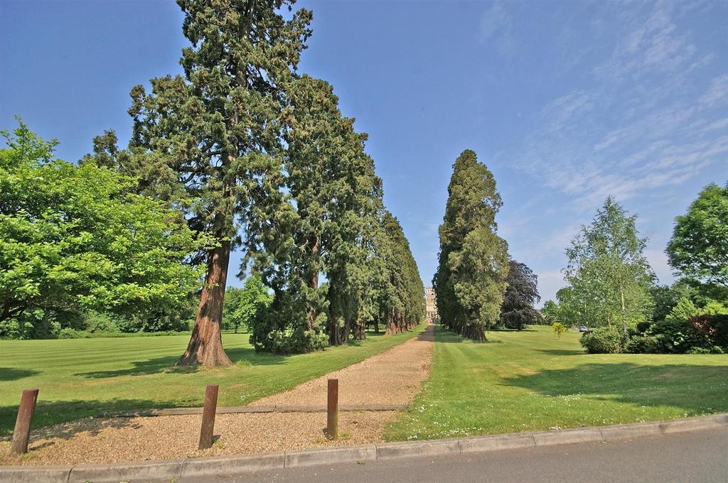 Grounds