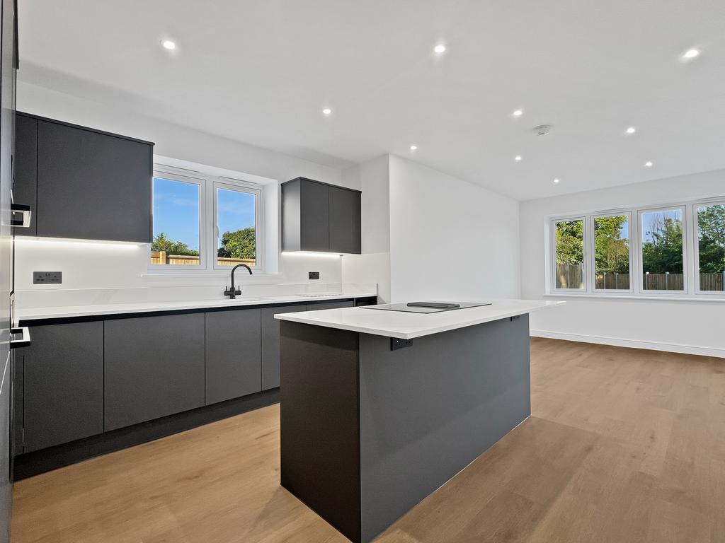 Kitchen/Dining/Family Room
