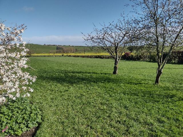 Land