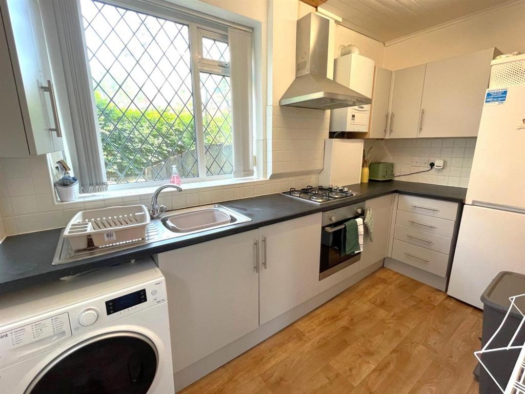 D .jpg