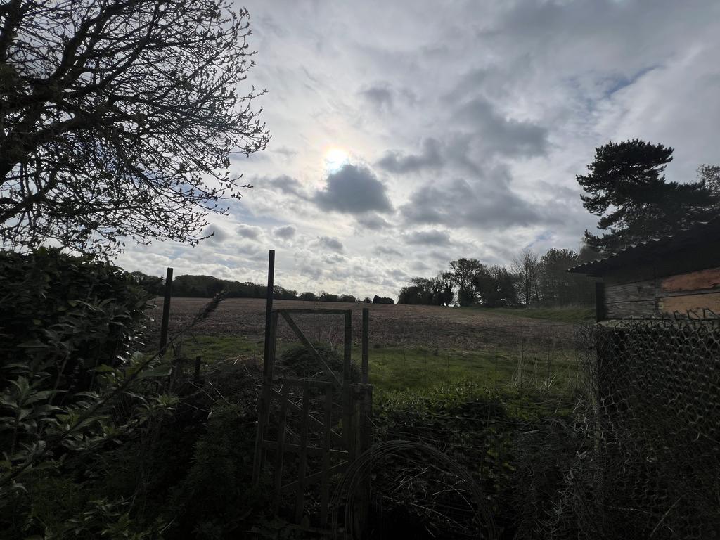 Img 4514 jpg