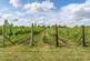 Additional image 24 of Poulton, Cirencester, Gloucestershire, GL7