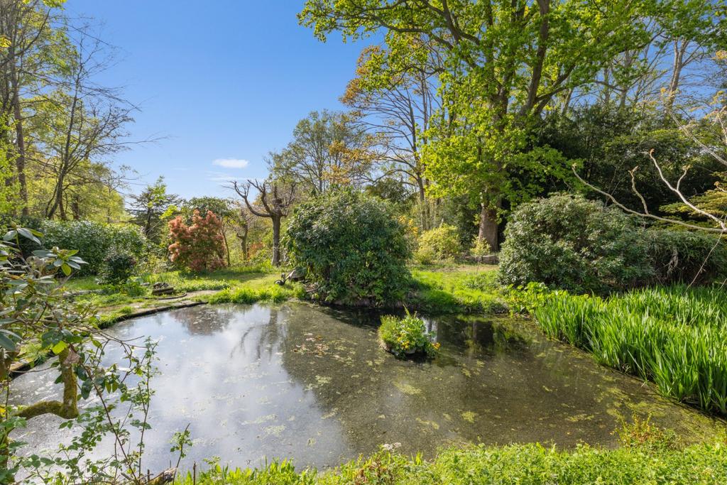 Pond