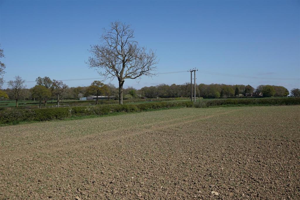 Dsc01211.jpg
