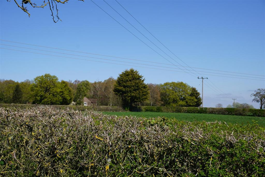 Dsc01213.jpg