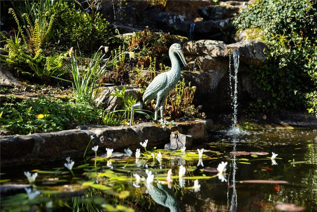 Pond