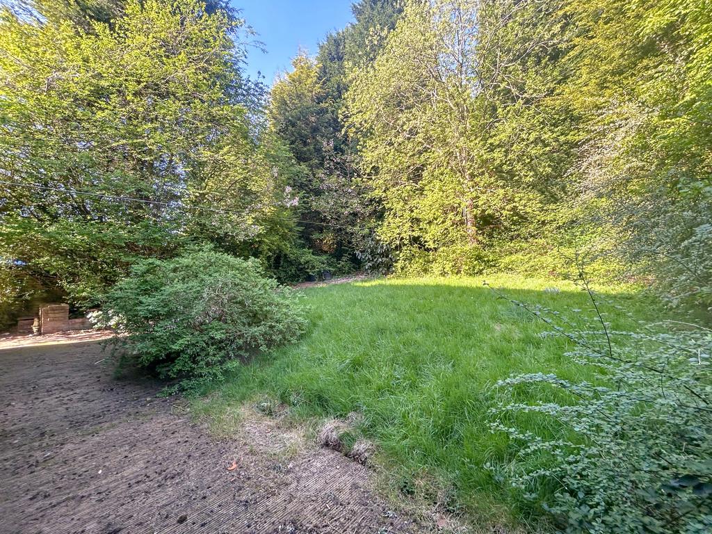 Garden 1