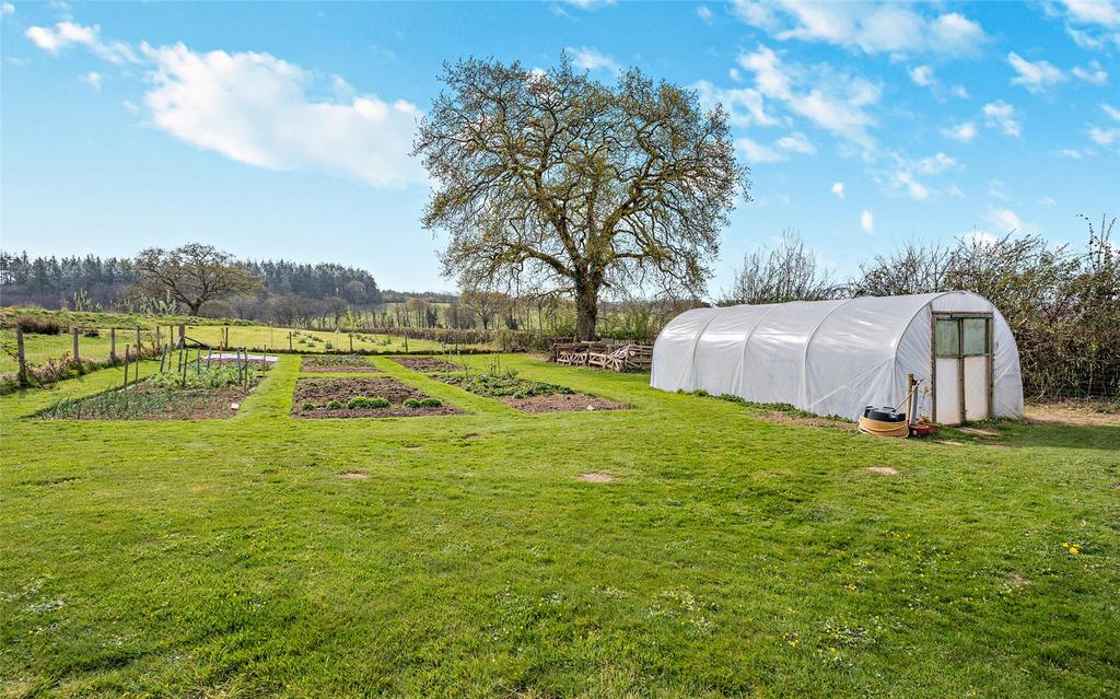 Vegetable Garden