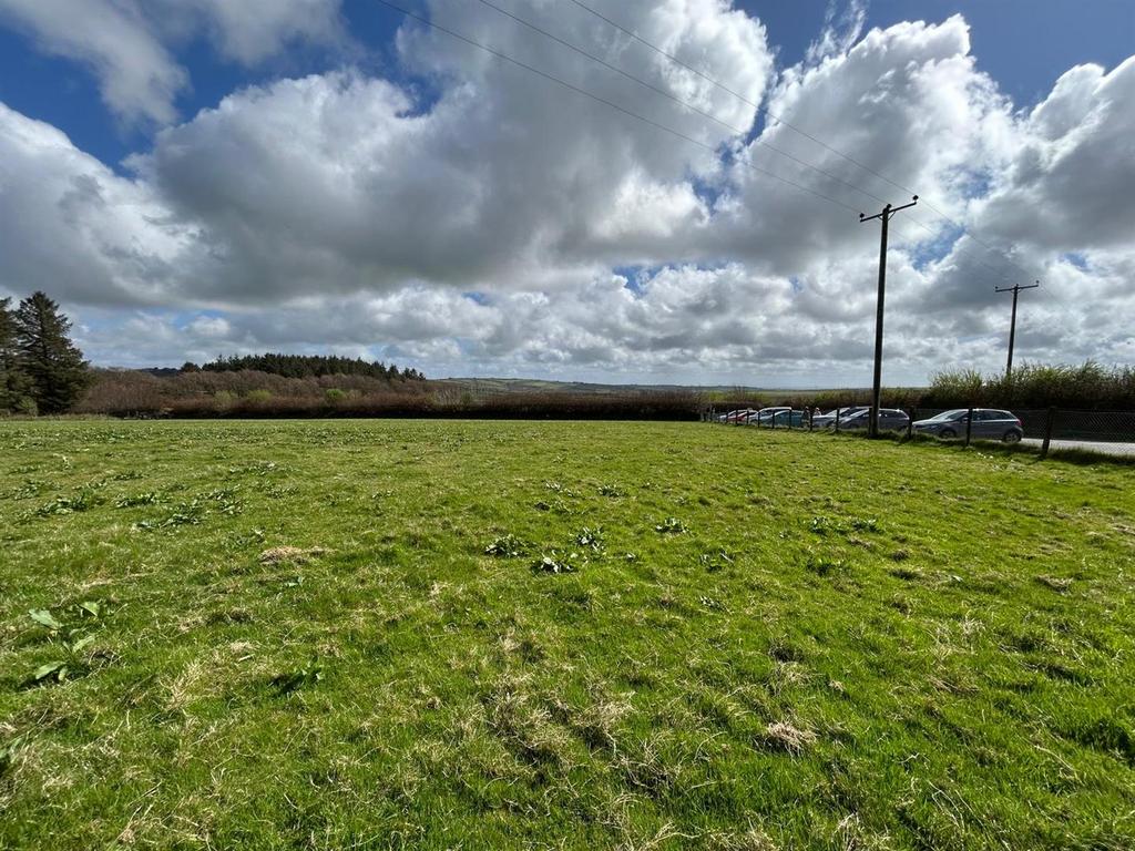 10 field 2.jpg