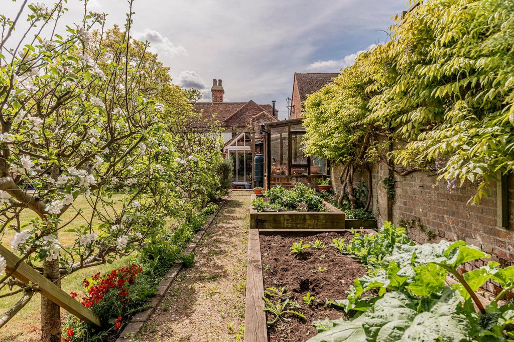 Rear Garden (4)