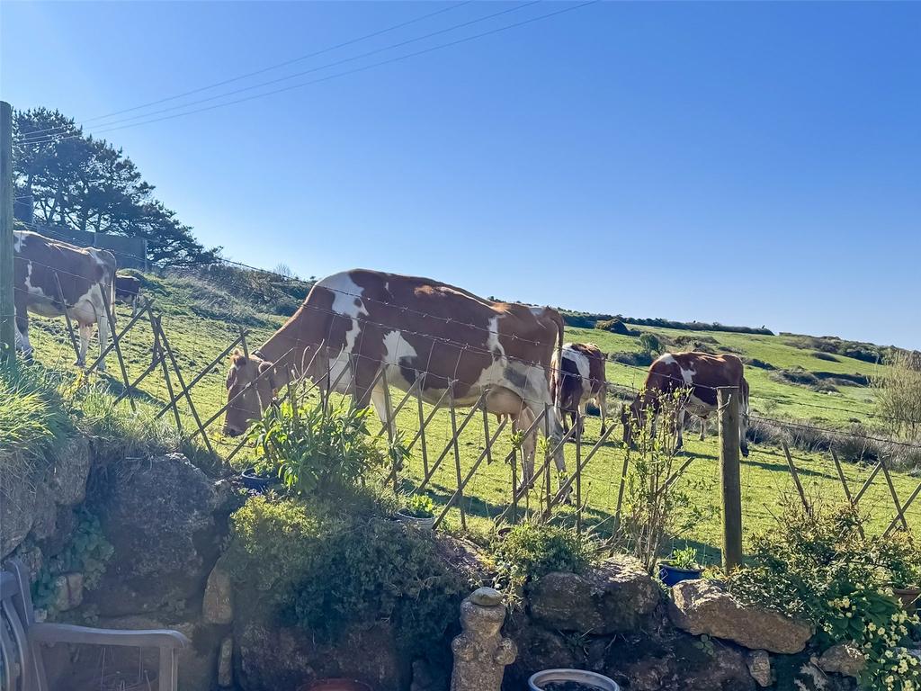 Neighbours