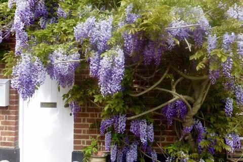 undefined, The Street, Ickham, Canterbury, CT3 1QR