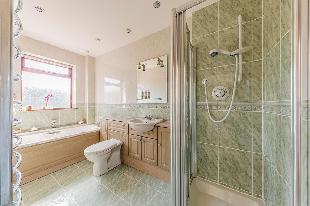 Downstairs Bathroom (1)