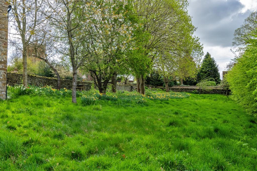 Orchard