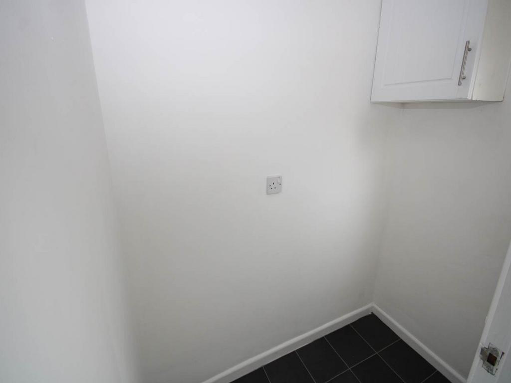Img 1663