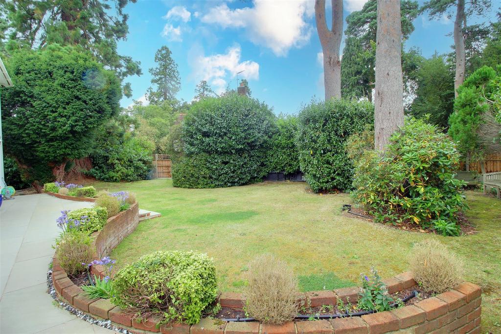 IMG 0202-IMG 0204 copy 2.jpg