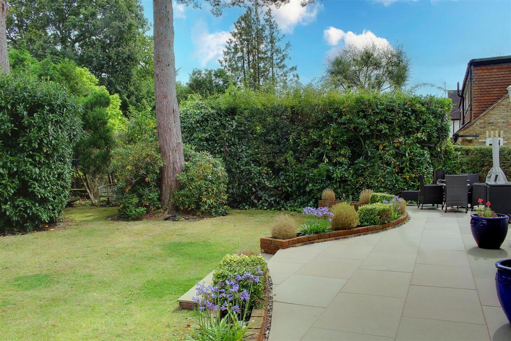 IMG 0230 - Copy-IMG 0231 - Copy copy 2.jpg