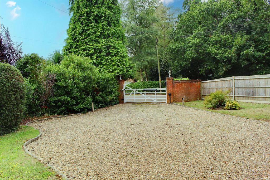 IMG 0239 - Copy-IMG 0240 - Copy copy 2.jpg