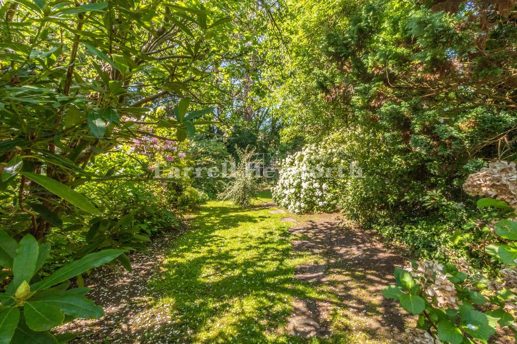 Garden image 3