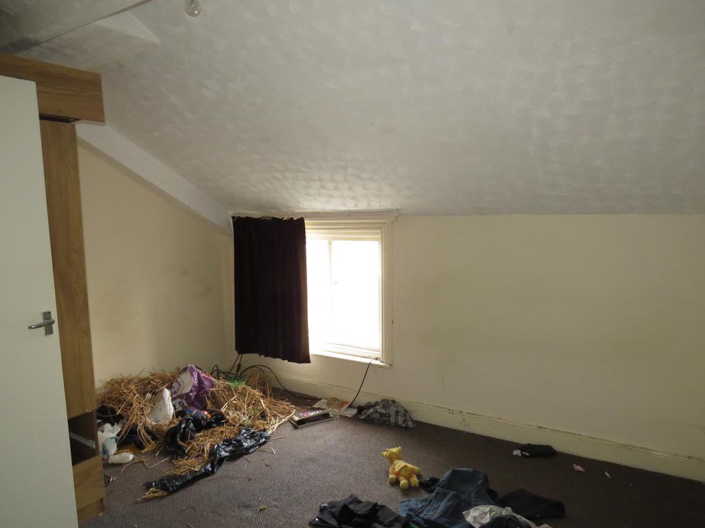 8 T202505021357.jpg