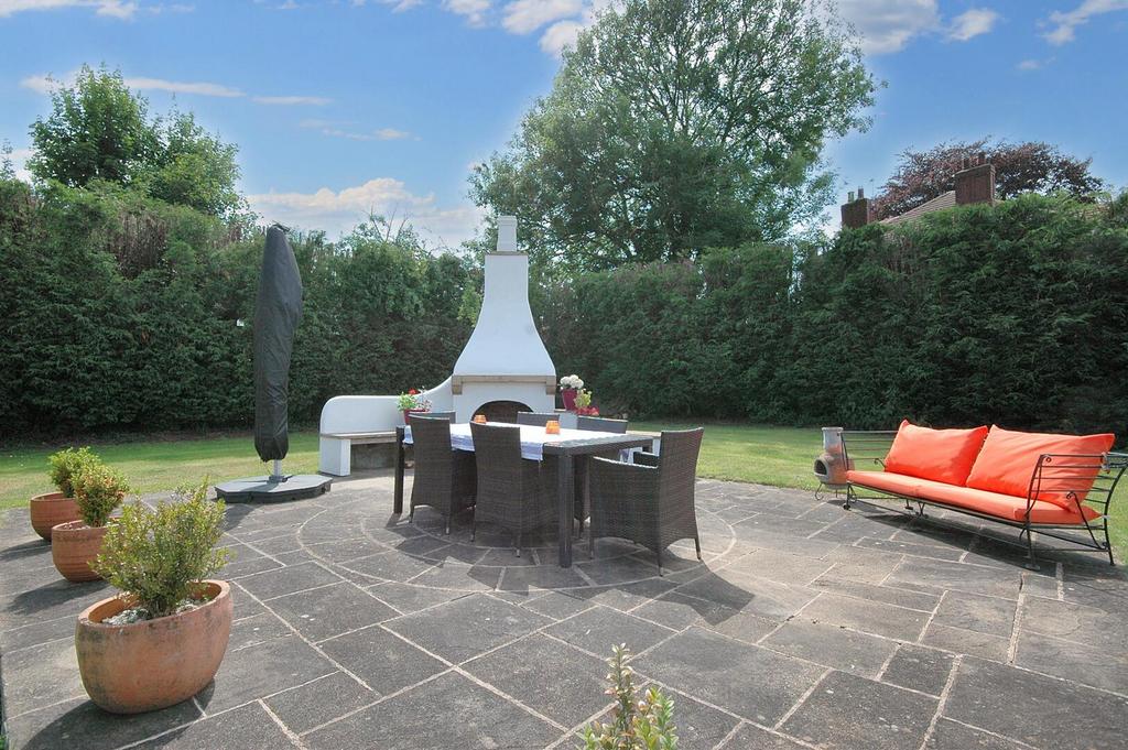 Terrace / Patio