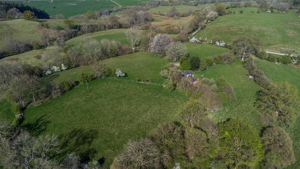 DJI 0775.jpg
