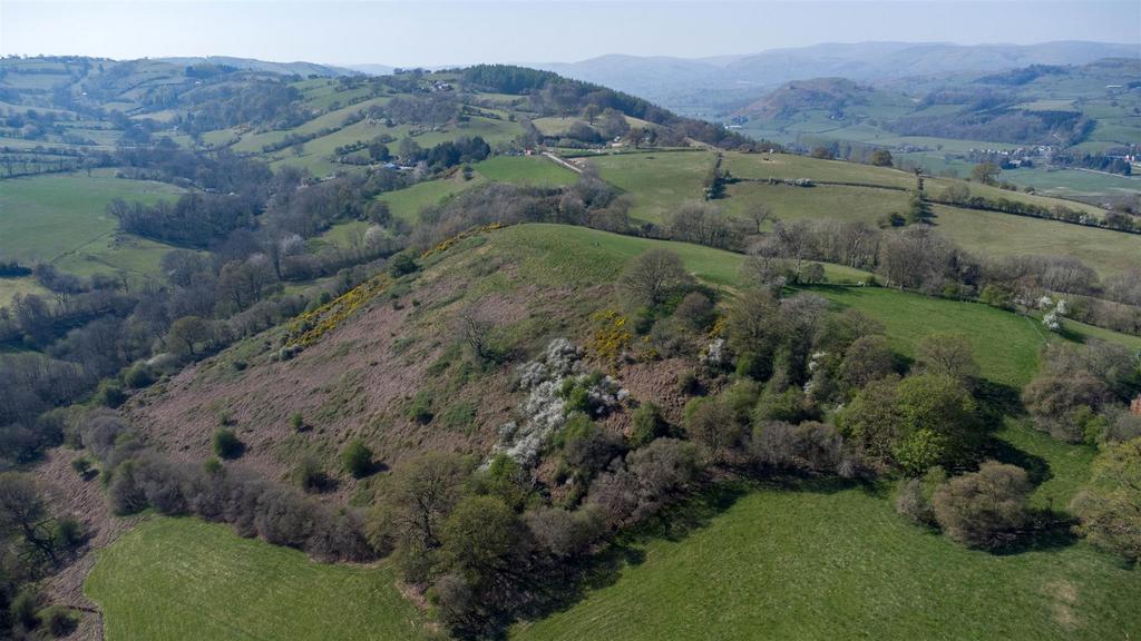 DJI 0779.jpg