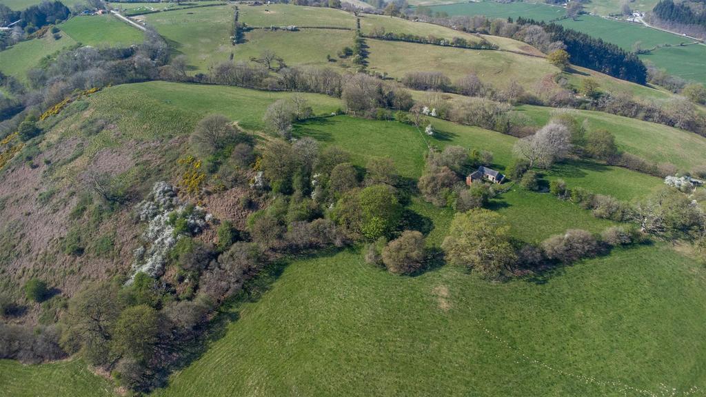DJI 0781.jpg