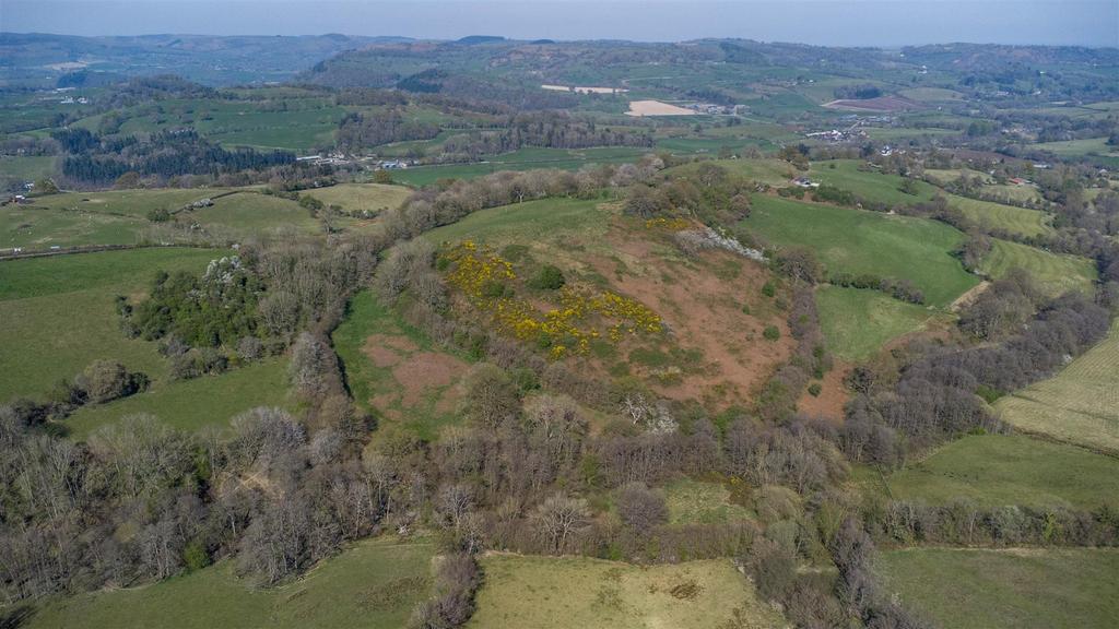DJI 0789.jpg