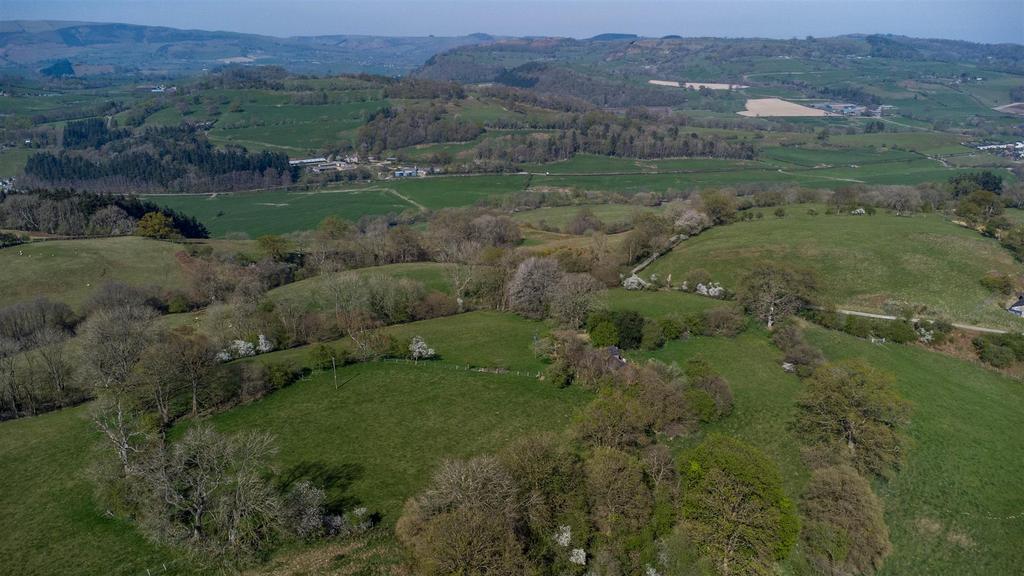 DJI 0773.jpg