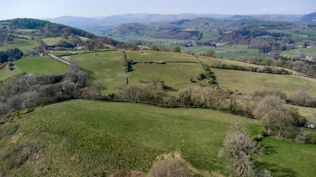 DJI 0770.jpg
