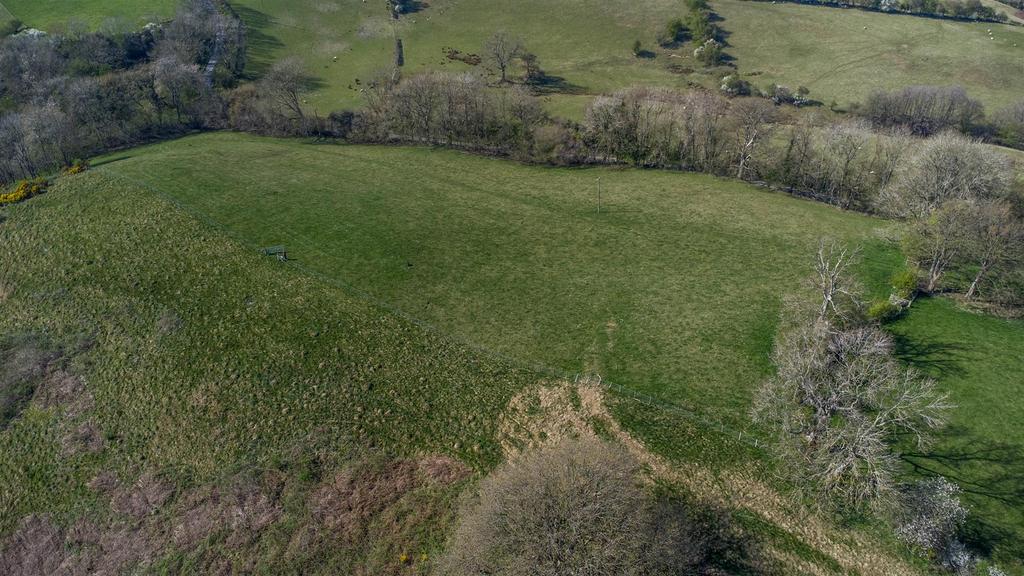 DJI 0771.jpg