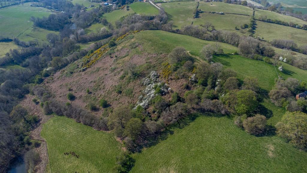 DJI 0780.jpg
