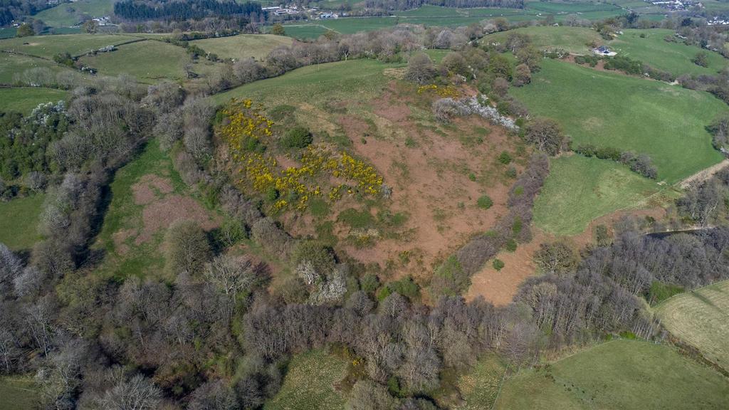 DJI 0783.jpg