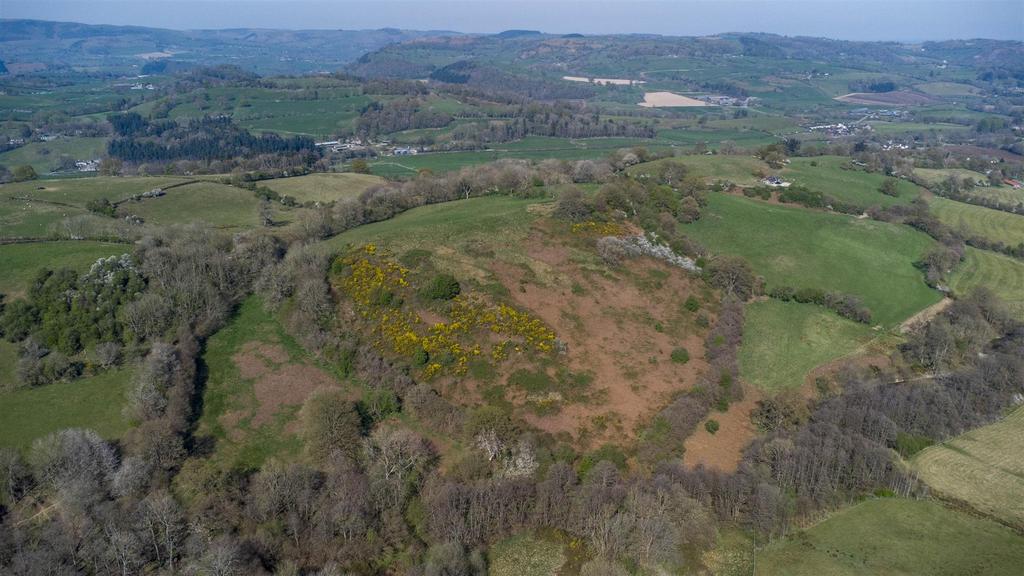 DJI 0786.jpg