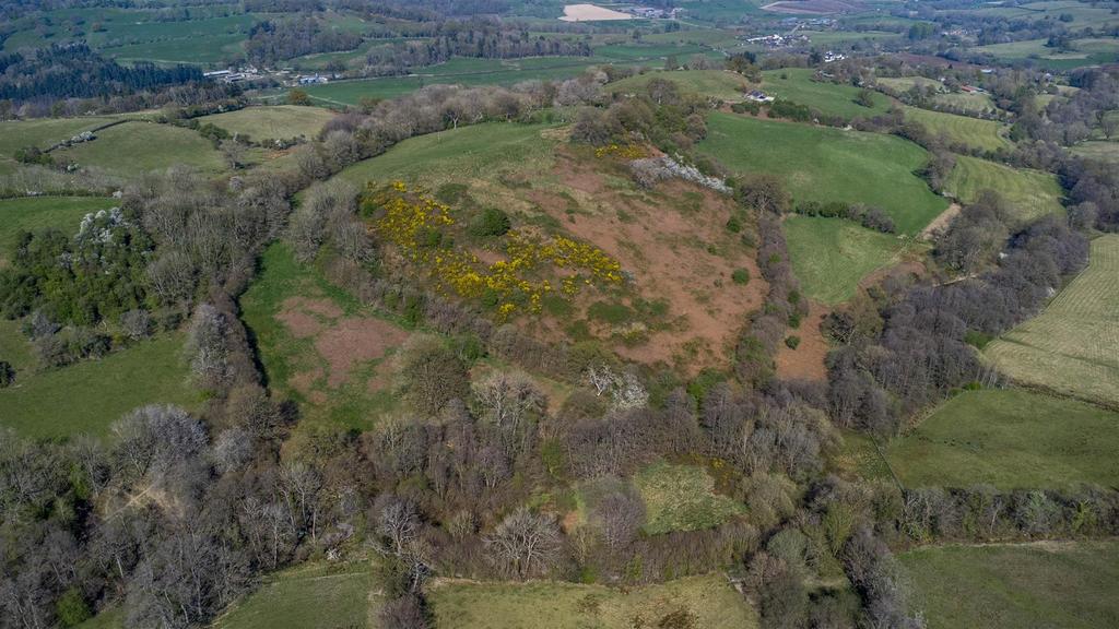 DJI 0788.jpg
