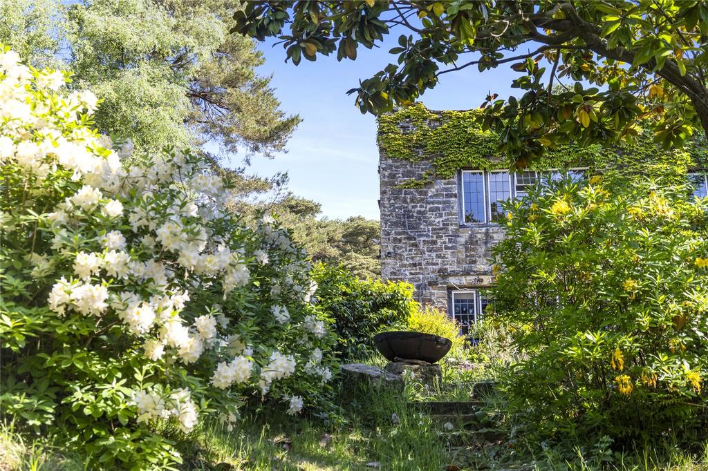 Garden Detail