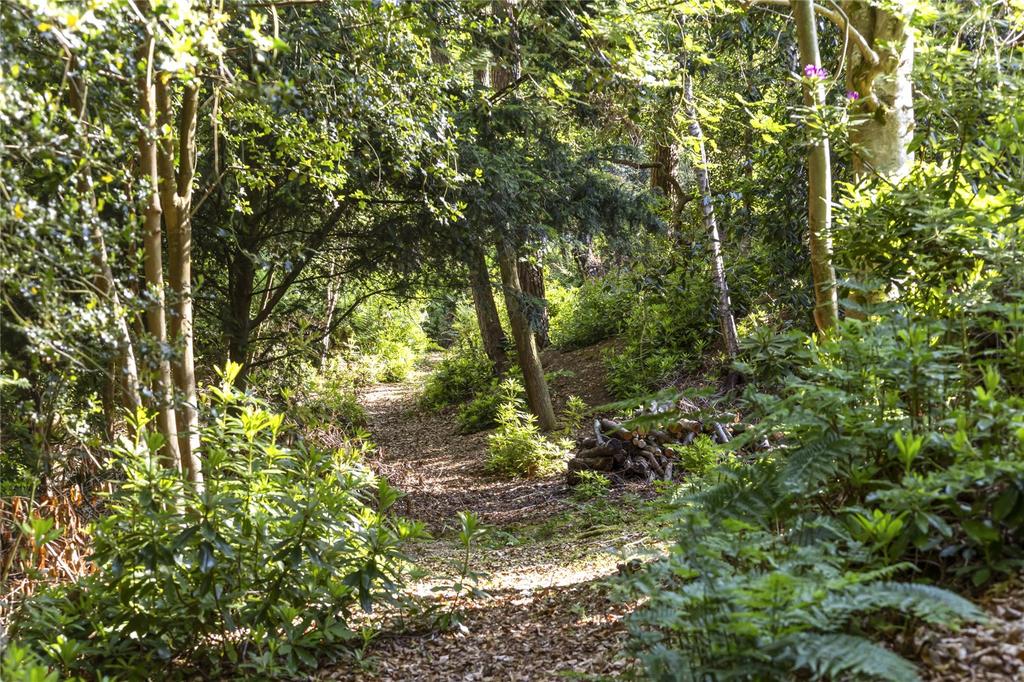 Woodland