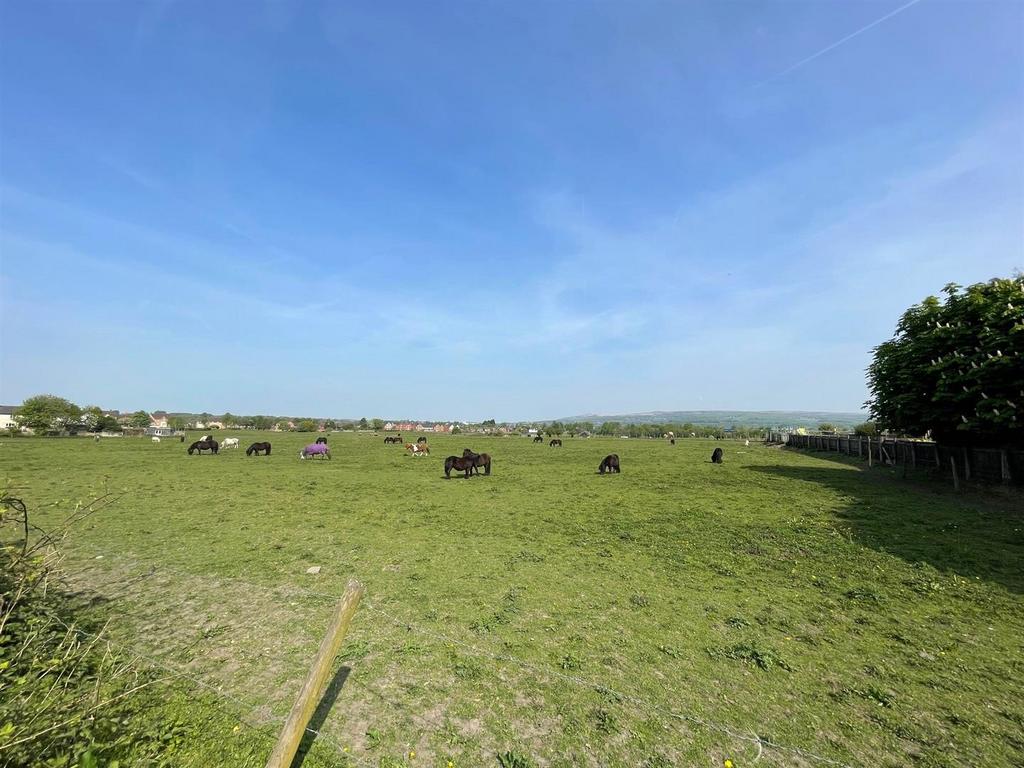 M.jpg