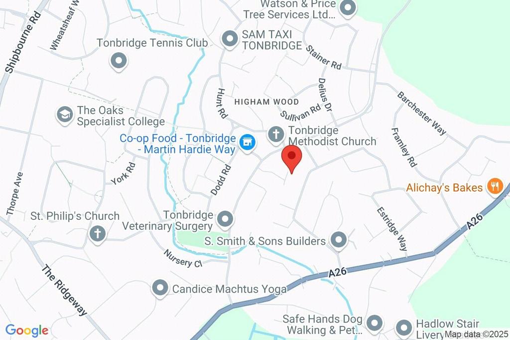 Google Maps Image