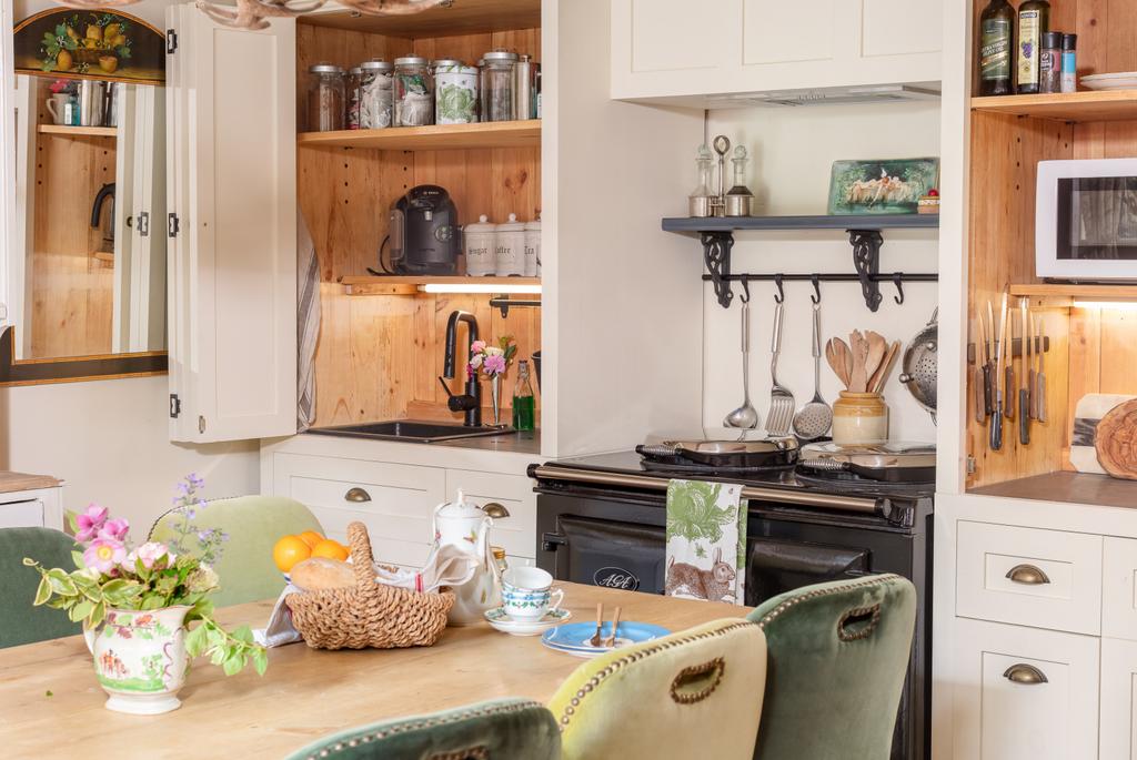 Electric Aga