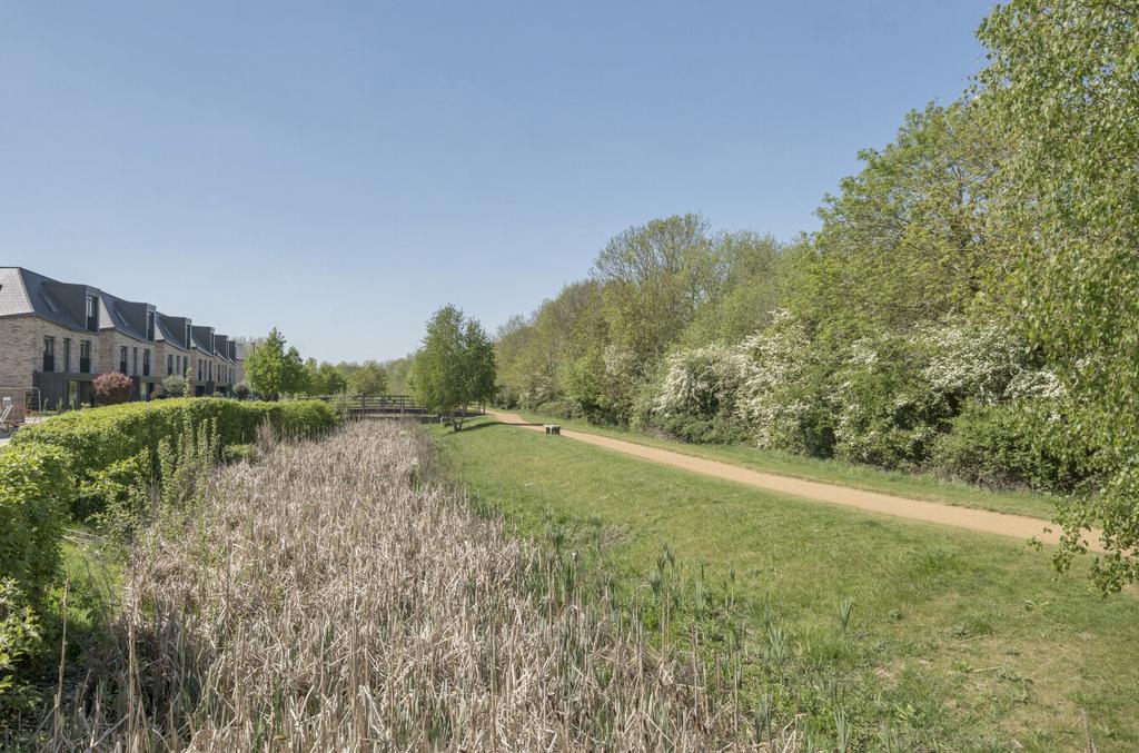 Near By Walks