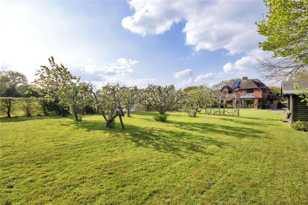 Orchard