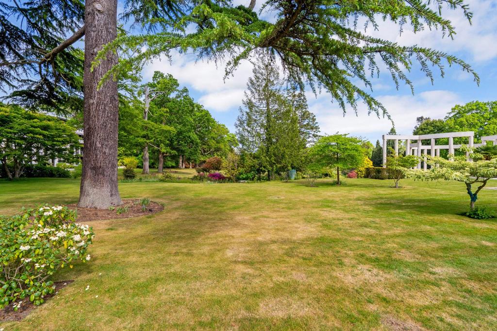 Grounds
