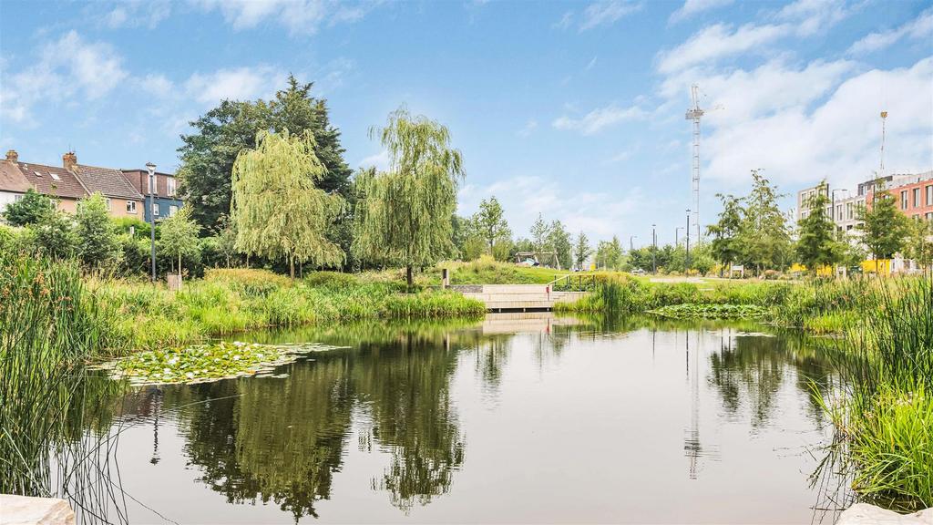 Pond.jpg