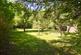Orchard