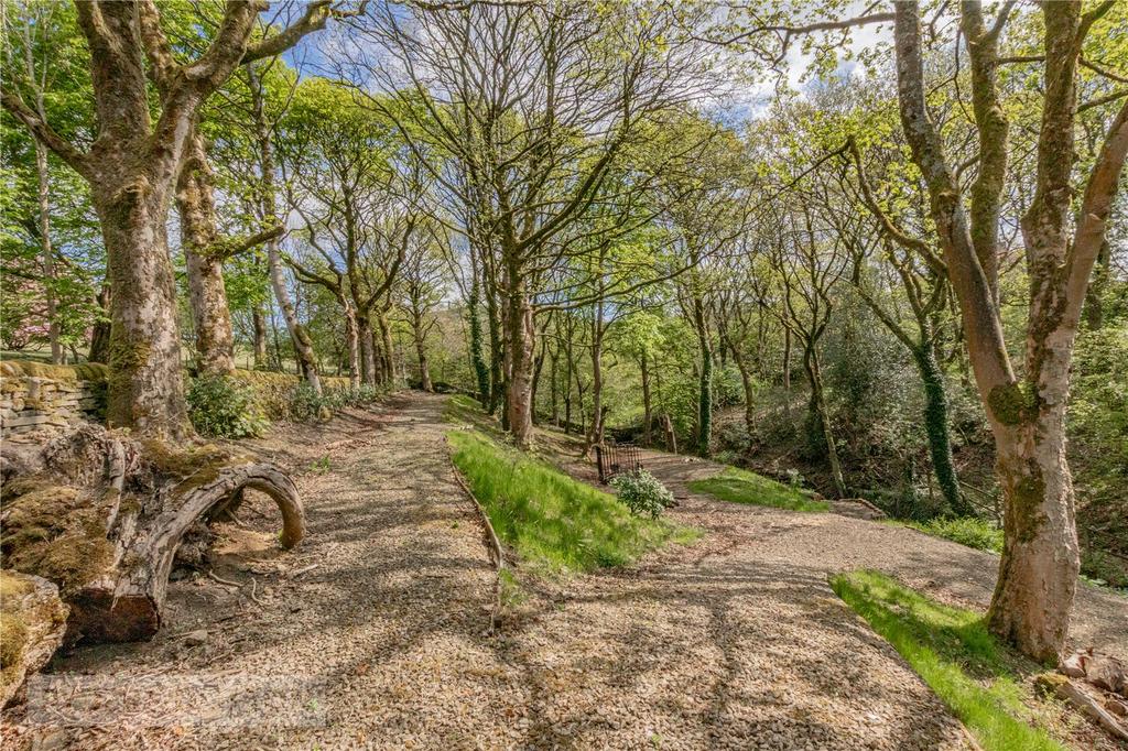 Woodland Walk