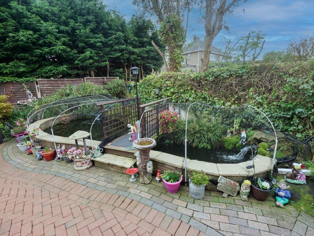 Pond