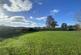 Additional image 12 of Launceston, Cornwall, PL15